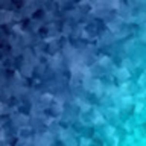 Meet your Posher, Abigail